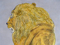 Rubens' lion's mate;
Huile sur papier  40cm x 20cm)  
